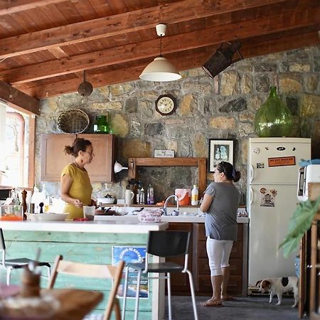 B&B Casa dei Nonni Scario Esterno foto